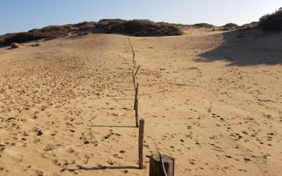 Leiderschap, meer natuurlijk!