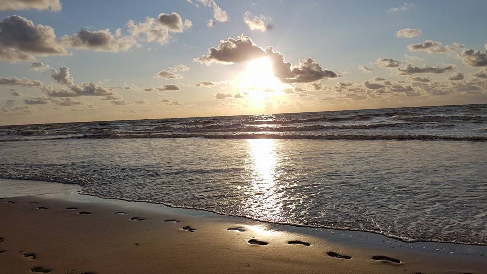 ‘Hoe een dubbeltje een kwartje werd’: Leidzaam